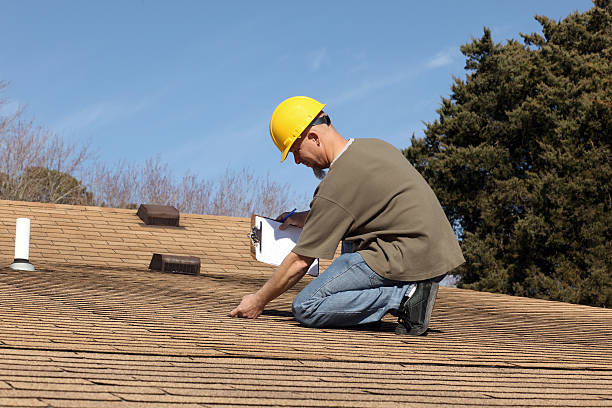 Roof Moss and Algae Removal in Union, OH